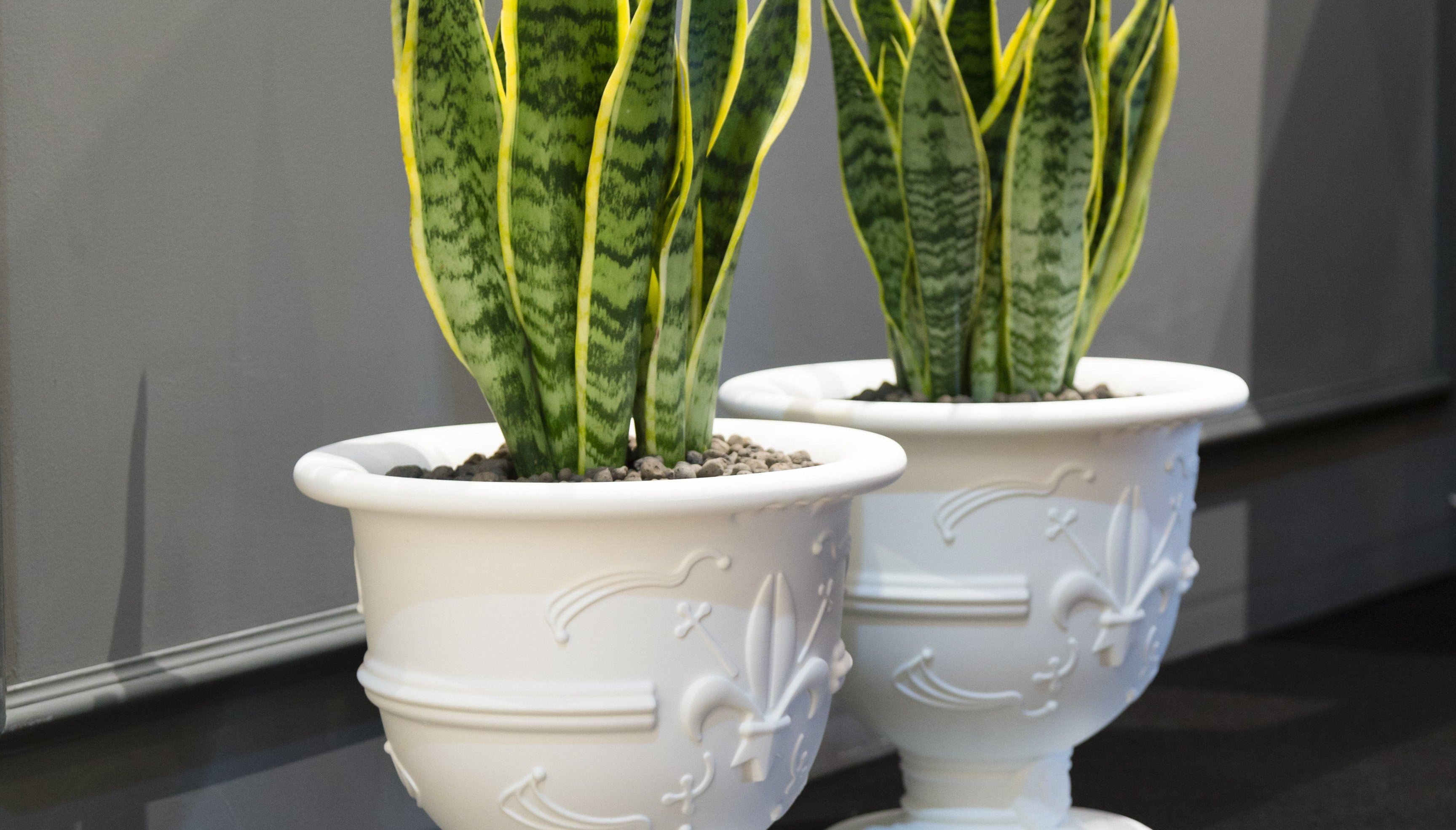 Slide Sektkühler POT OF LOVE für Indoor + Outdoor | Sitzmöbel | brandamba.com