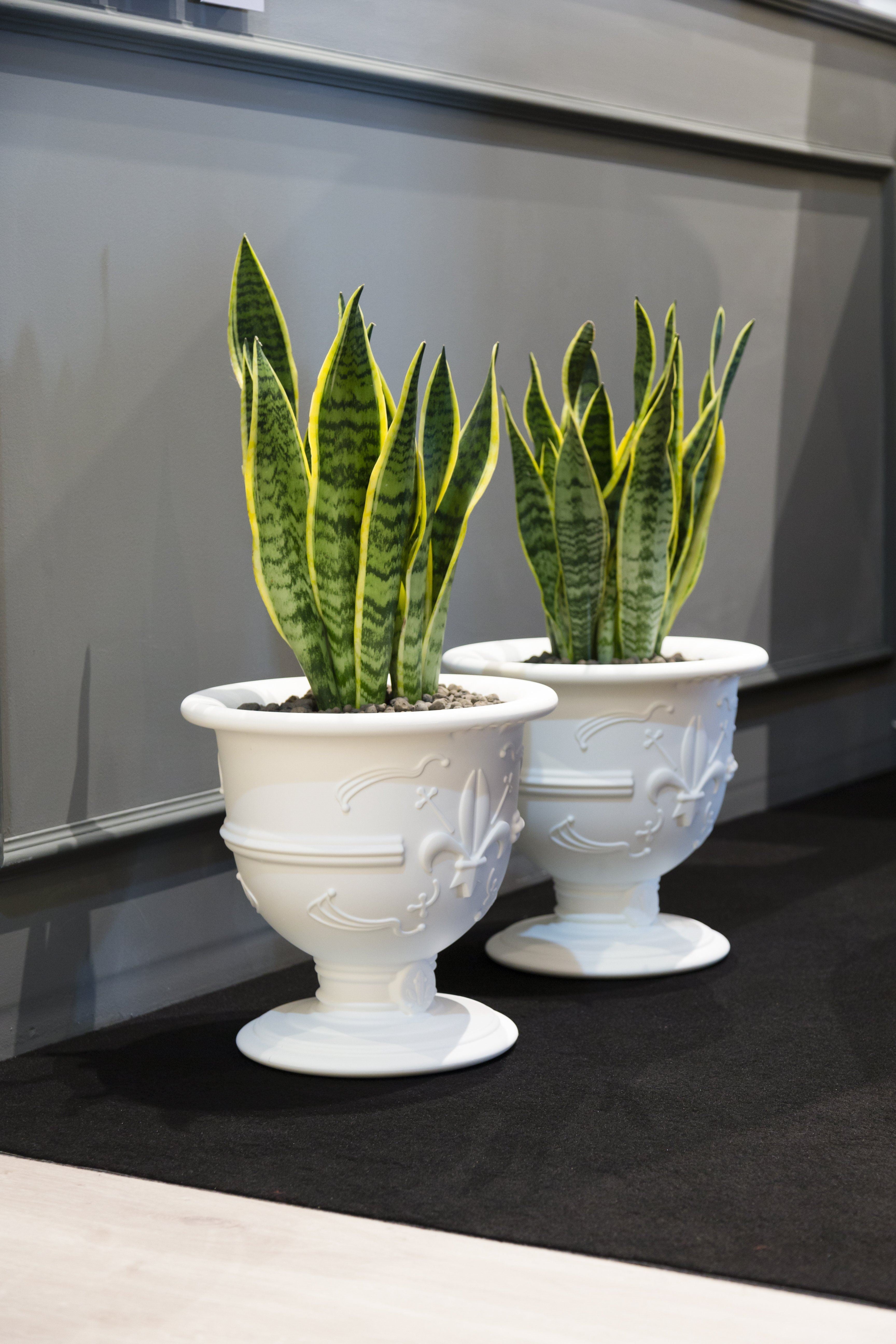 Slide Sektkühler POT OF LOVE für Indoor + Outdoor | Sitzmöbel | brandamba.com