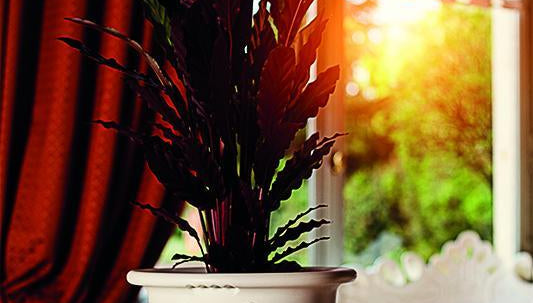 Slide Sektkühler POT OF LOVE für Indoor + Outdoor | Sitzmöbel | brandamba.com